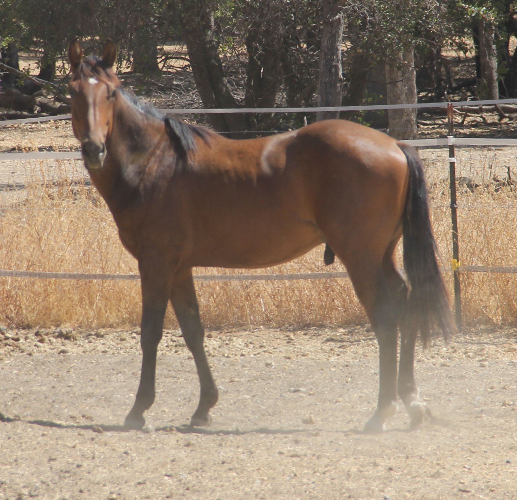 tk lf 822.jpg
